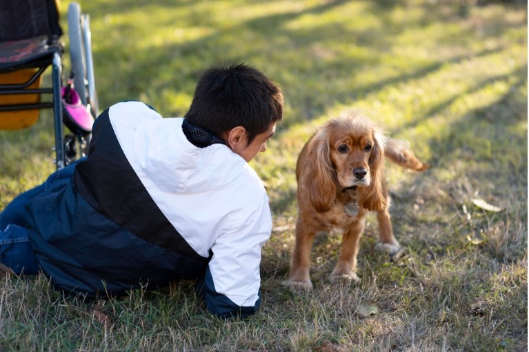 Loss of dog Quotes