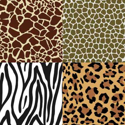 Animal Print