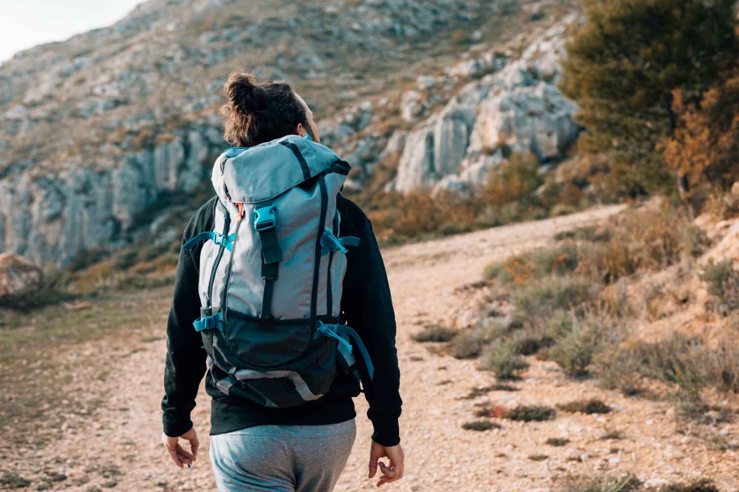 Key Features of the Wildcraft 45 L Rucksack