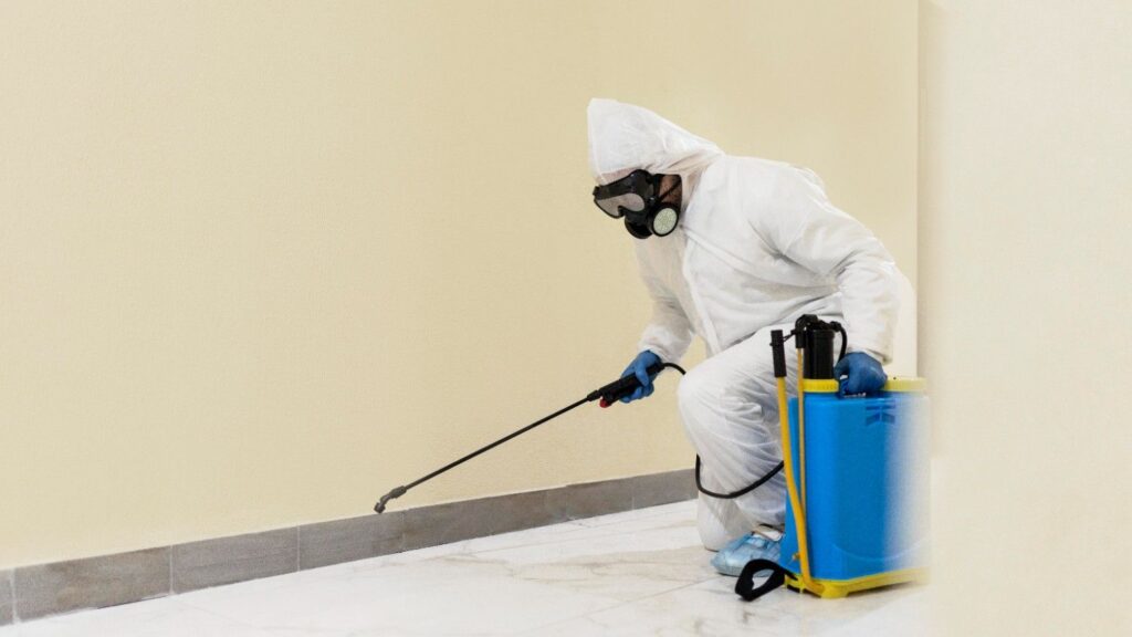 Types of Termite Treatment Available in Darwin